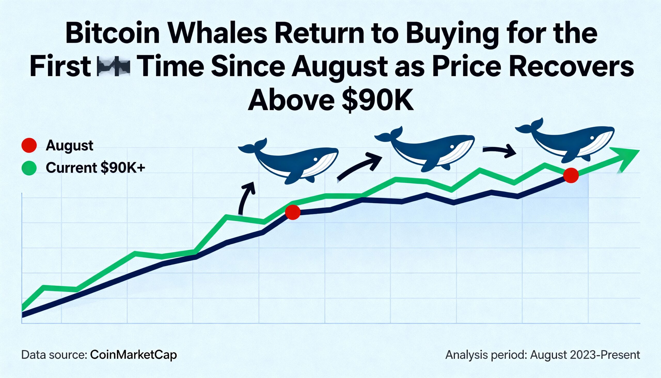 Freepik Bitcoin Whales Return To Buying For The First Time 54113