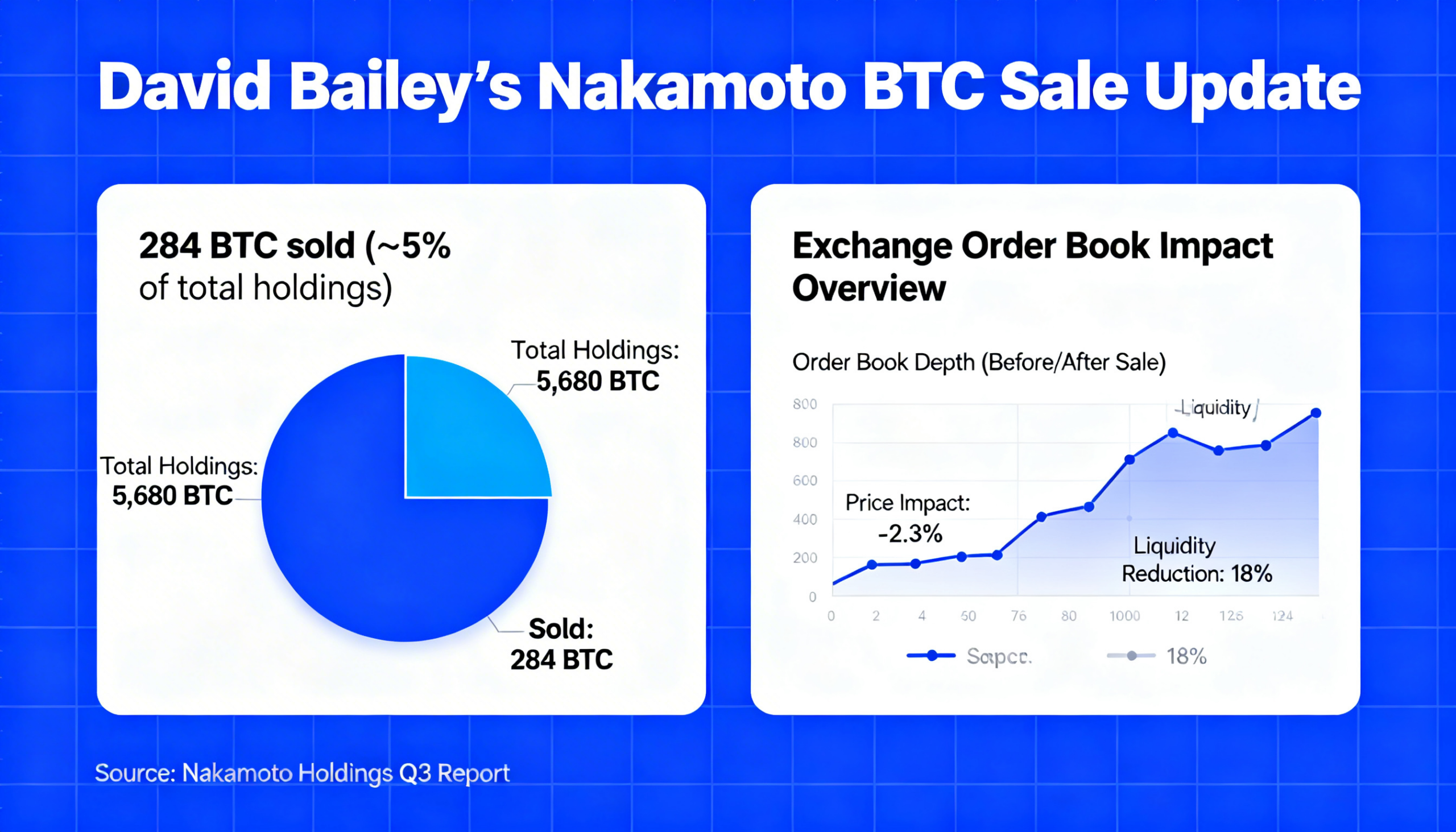 Freepik Business Update Graphic David Baileys Nakamoto Sells 284 Btc 5 Of Holdings Exchange Order Book Impact Overview 0006